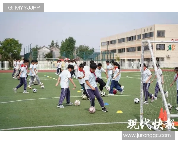 小学足球场地尺寸及其对学生运动发展的影响分析